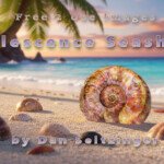 opalescent-seashells-by-dms-promo-example-image-landscape-aspect-3-19-26